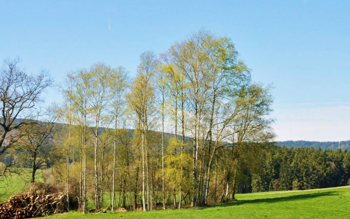 Photo of Others in Trostau