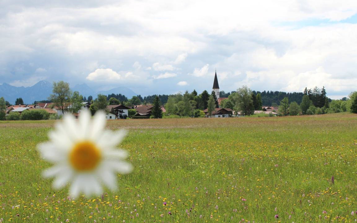 Photo of Others in Halblech