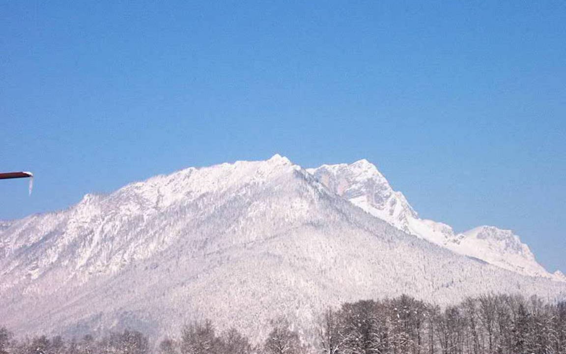 Photo of Others in Oberschonau