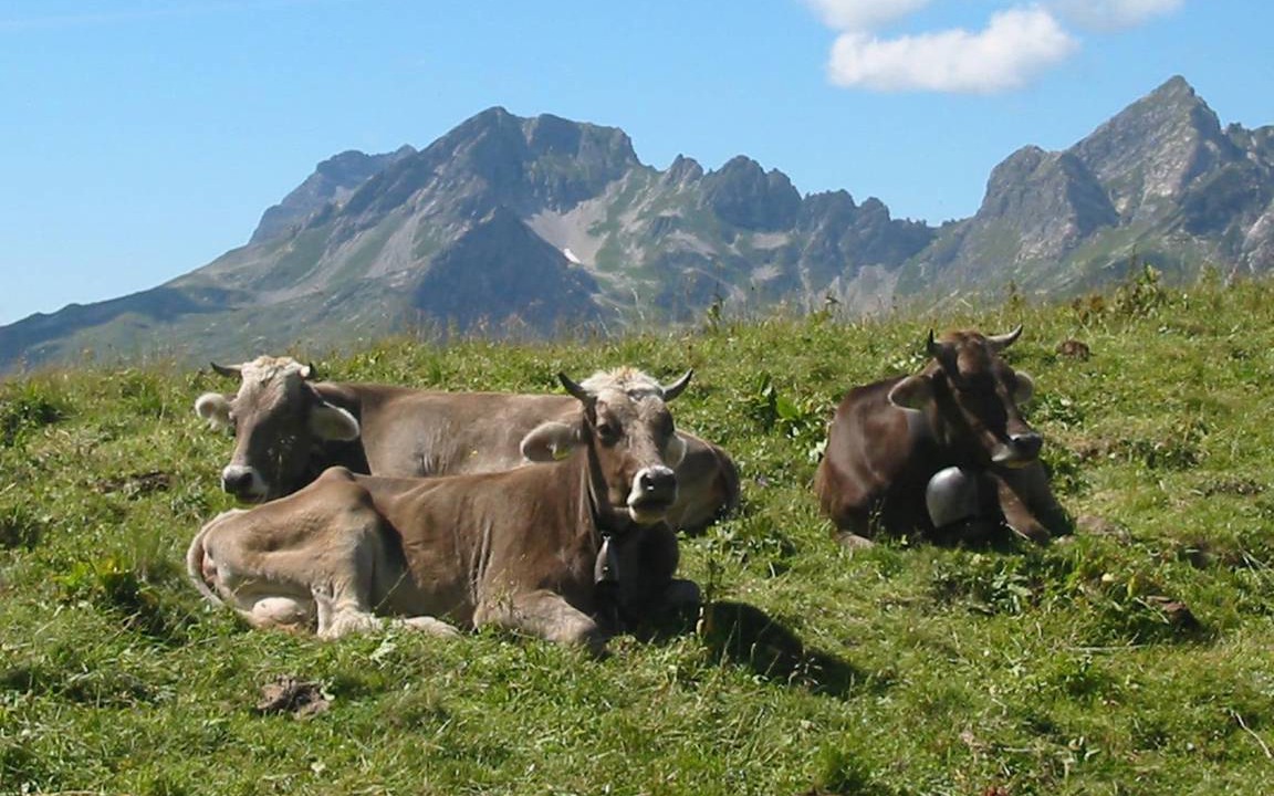 Photo of Others in Verwaltungsgemeinschaft Hornergruppe