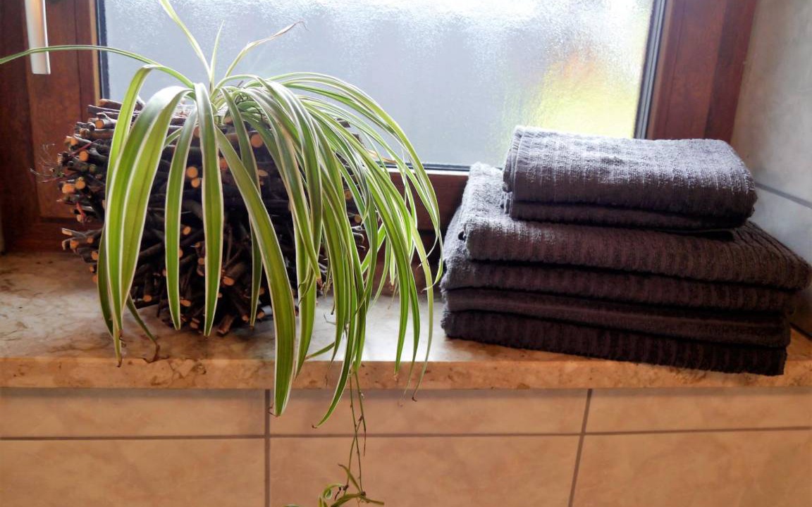 Photo of Bathroom in Hohenau