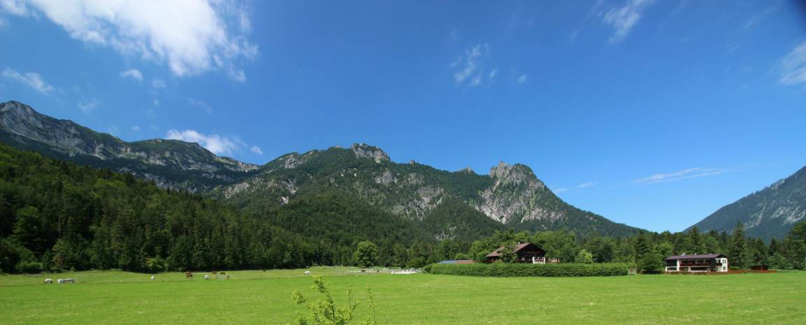 Photo of Others in Winkl