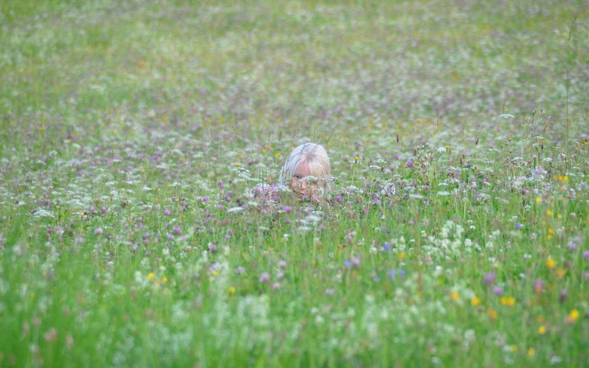 Photo of Others in Marktrodach