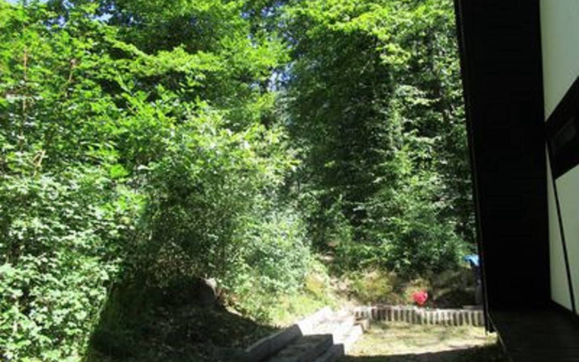 Photo of Others in Sulzfeld
