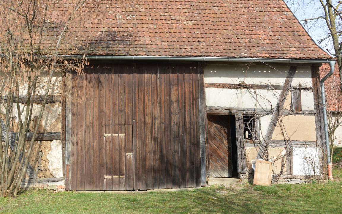 Photo of Buildings in Geckenheim