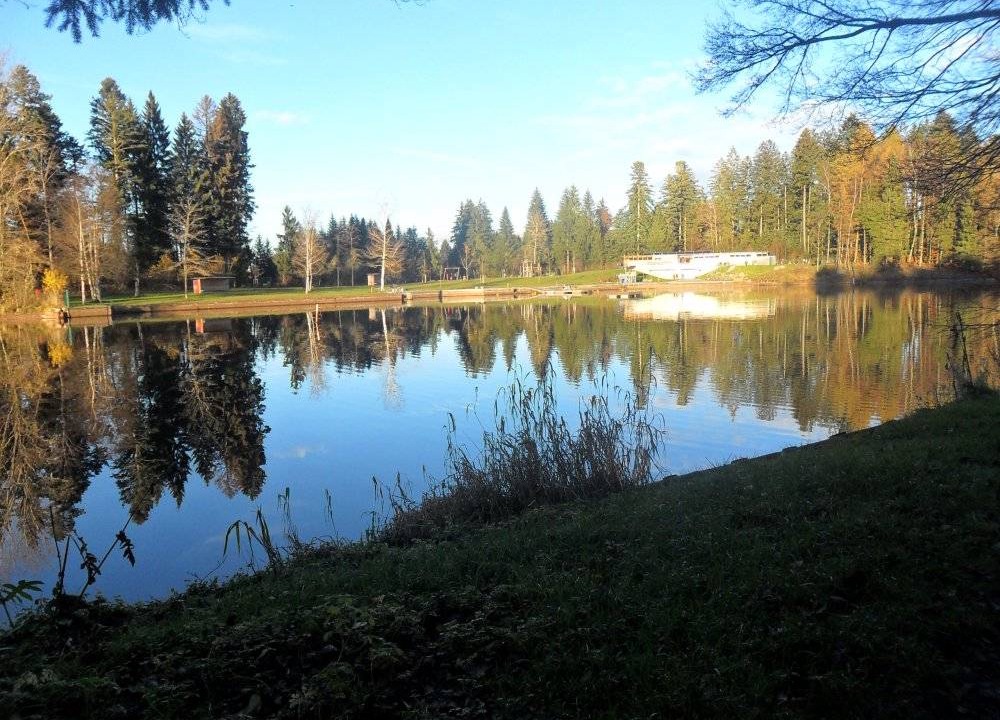 Photo of Others in Opfenbach