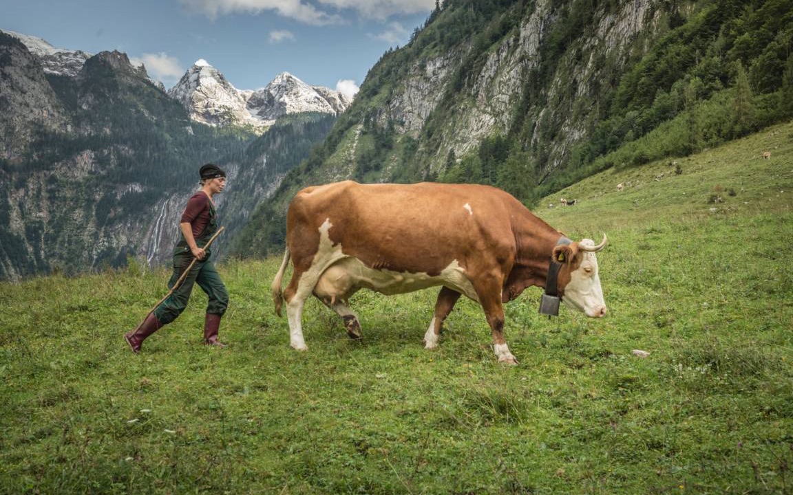 Photo of Human In Picture in Oberschonau