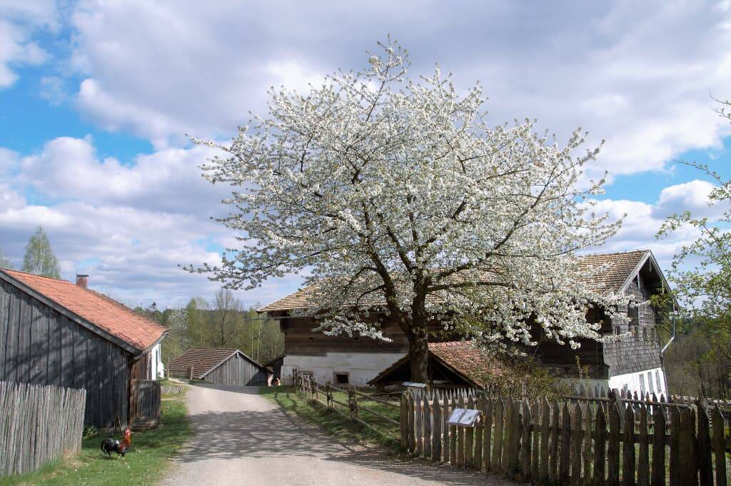 Photo of Others in Wackersdorf