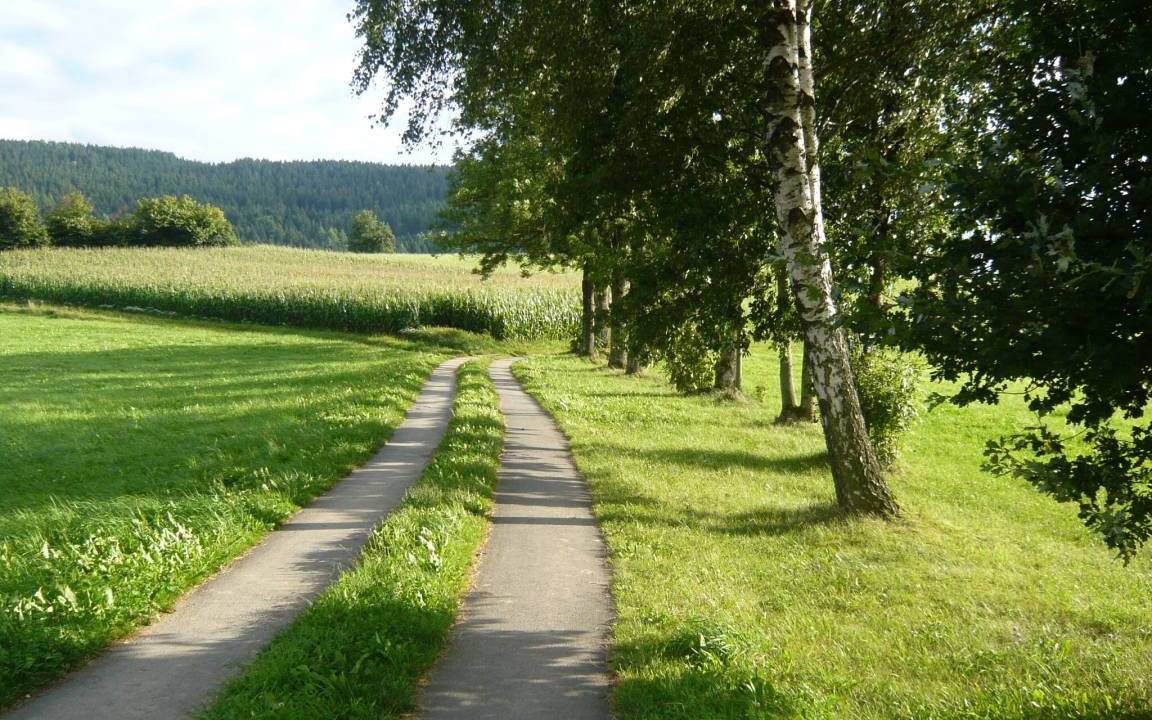 Photo of Others in Neukirchen Beim Heiligen Blut