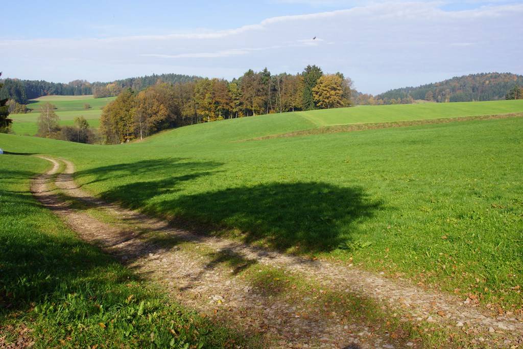 Photo of Others in Ruderszell