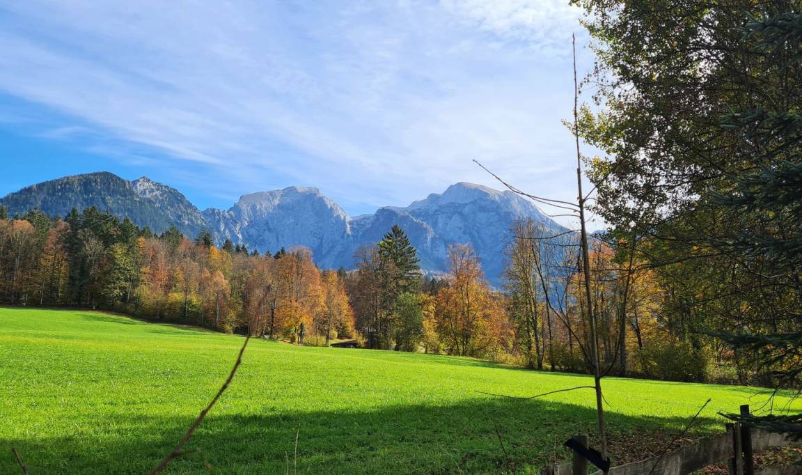 Photo of Others in Oberschonau