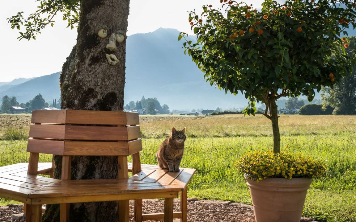 Photo of Others in Oberschonau