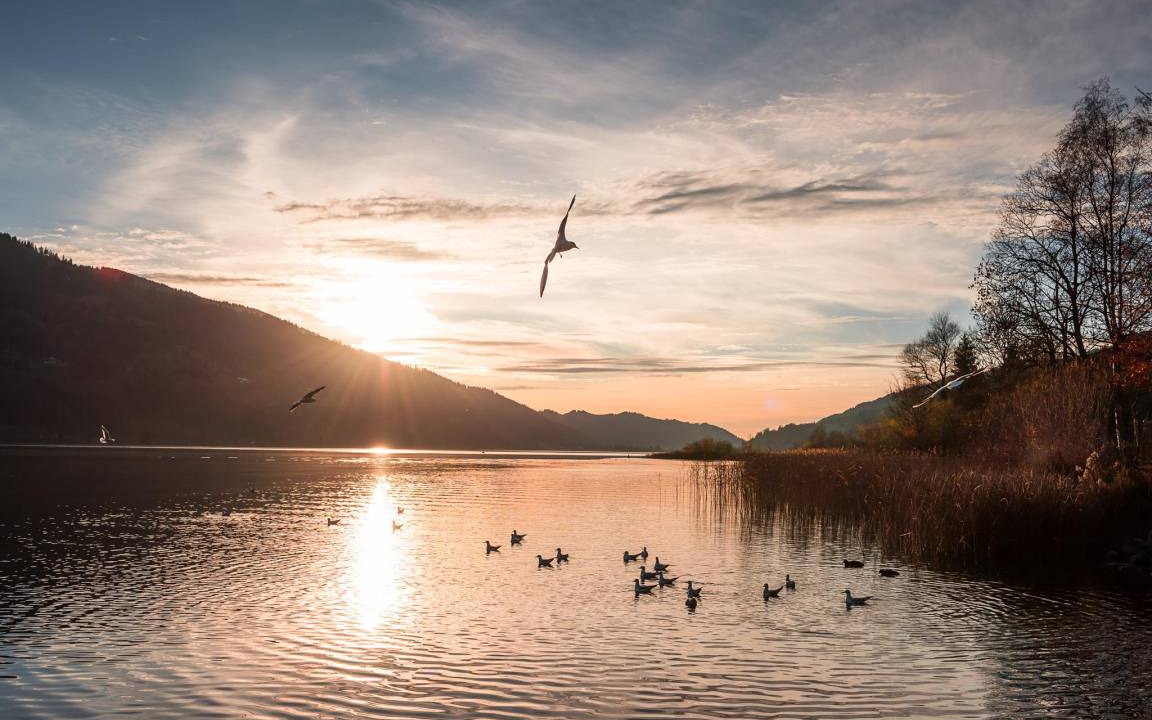 Photo of Others in Buhl am Alpsee
