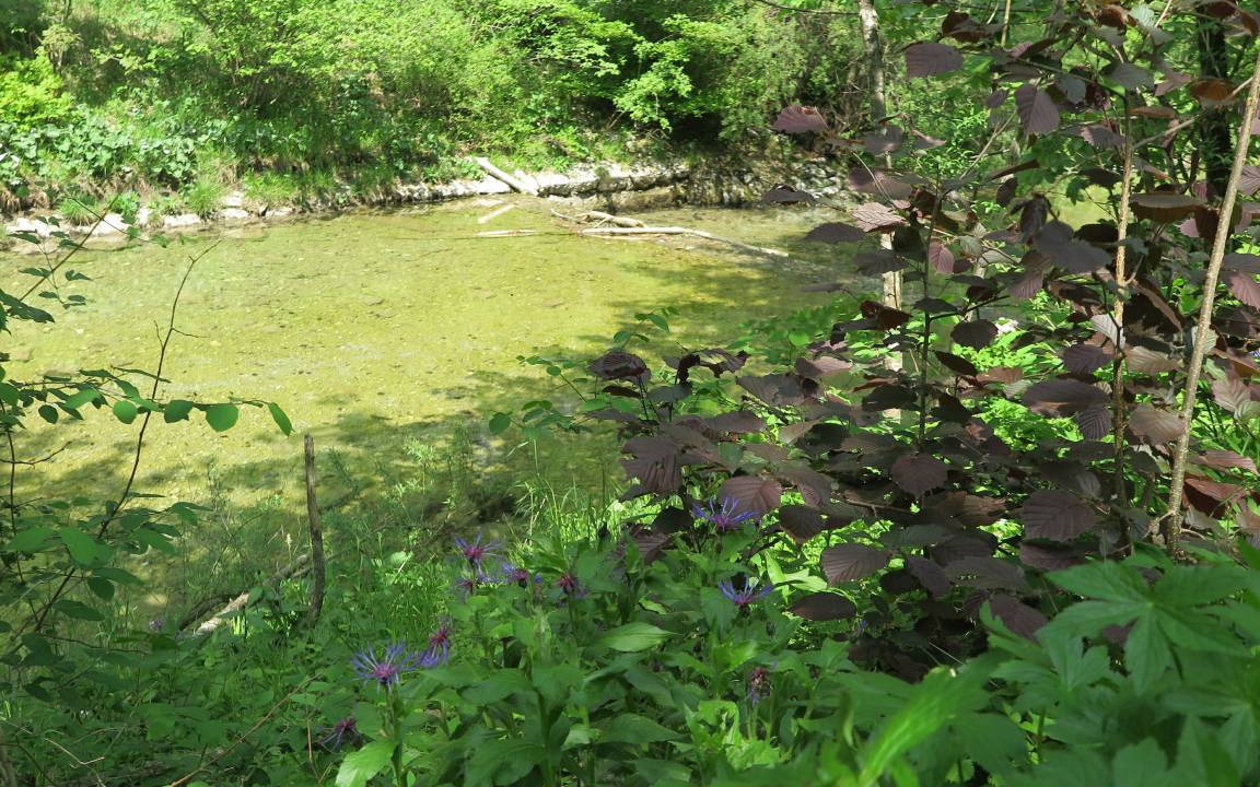 Photo of Others in Aschau im Chiemgau