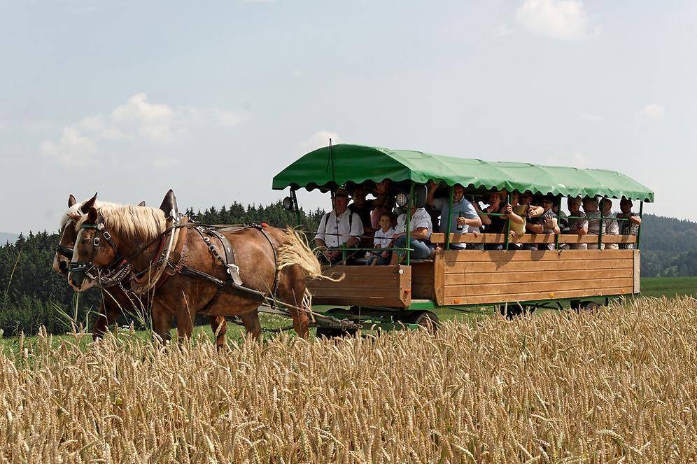 Photo of Others in Roehrnbach