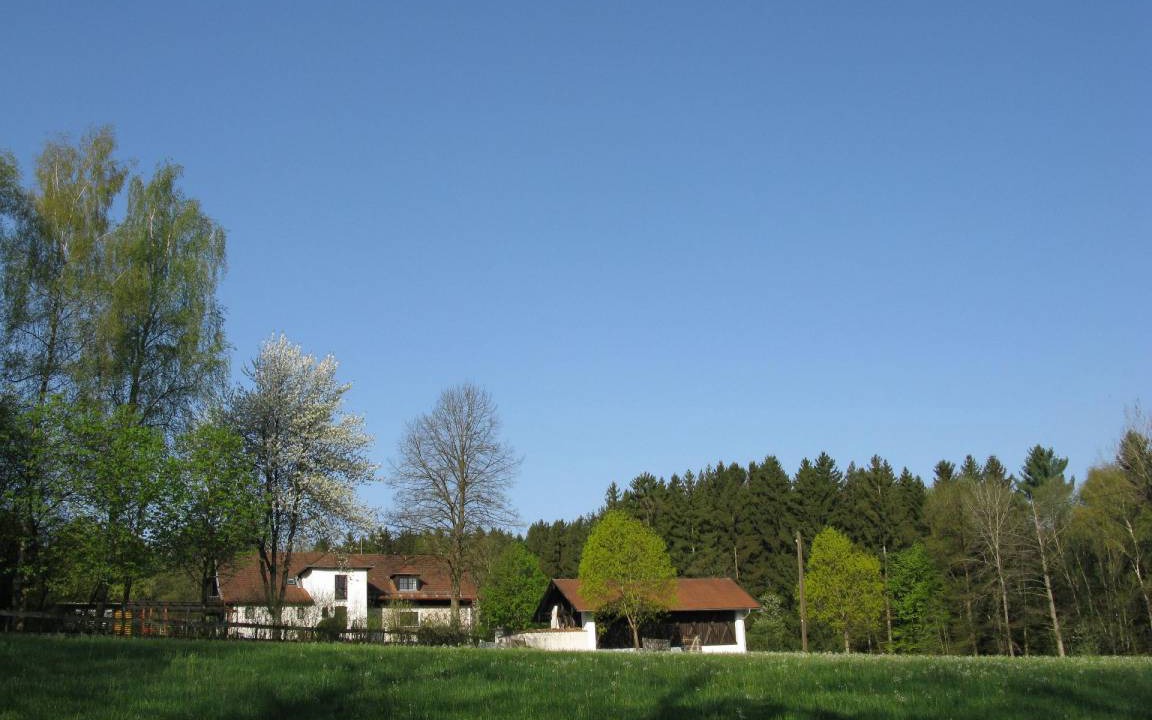 Photo of Others in Schoellnach