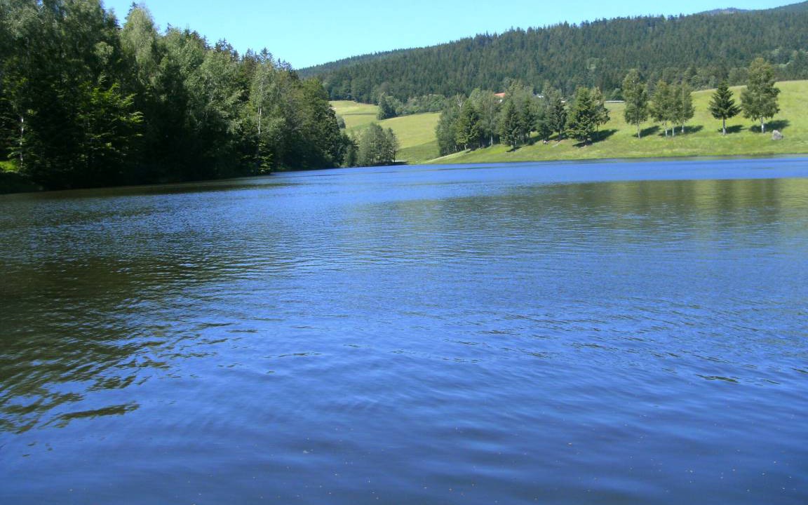 Photo of Others in Neureichenau