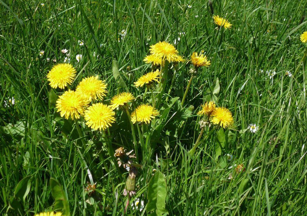 Photo of Outdoor in Seeg
