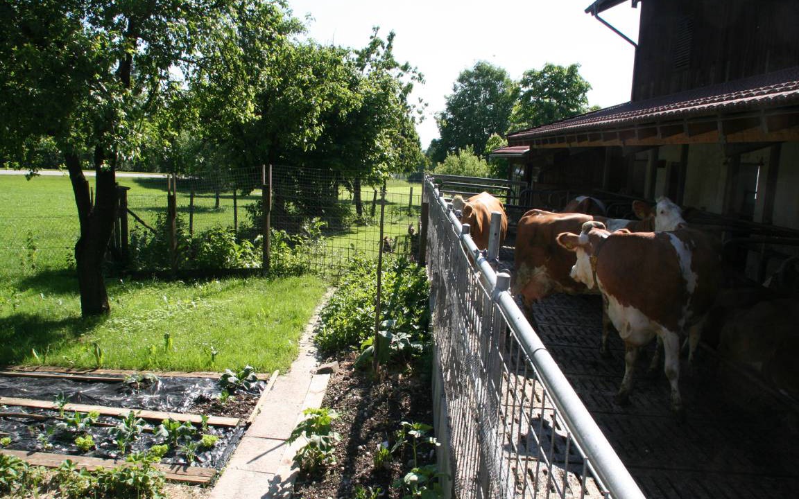 Photo of Others in Bad Endorf