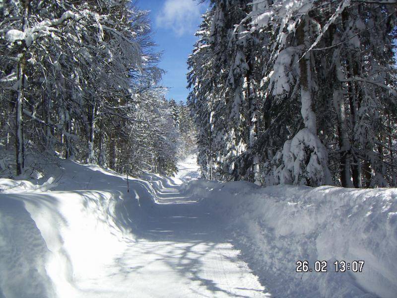 Photo of Others in Weissbach an der Alpenstrasse