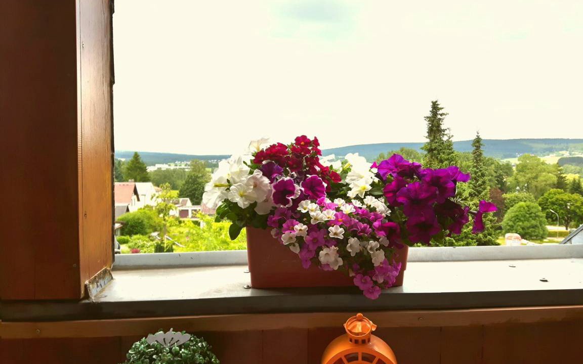 Photo of Patio Balcony in Weissenstadt