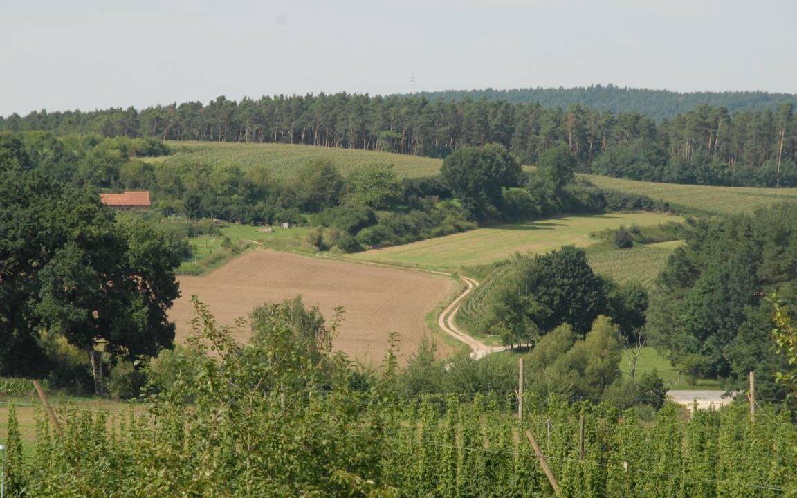 Photo of Others in Georgensgmuend