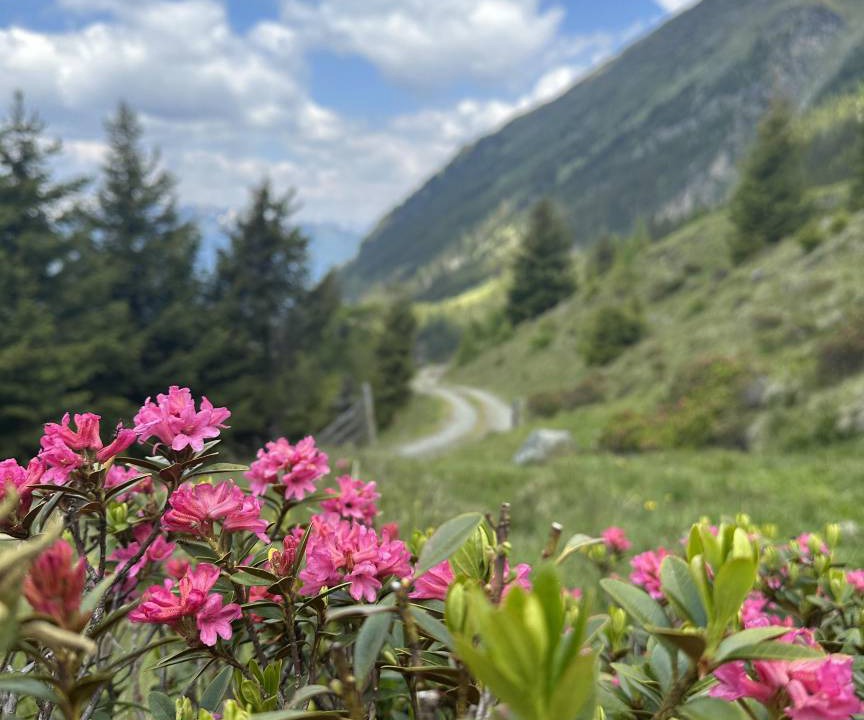 Photo of Outdoor in Sankt Leonhard im Pitztal
