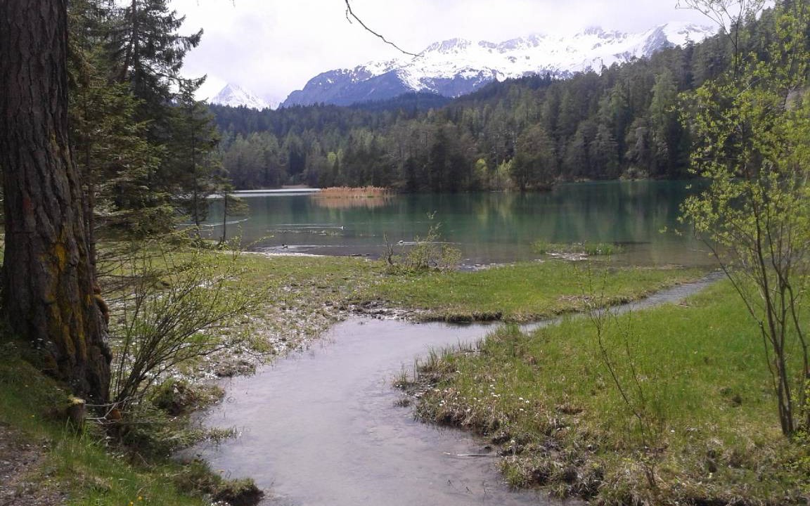 Photo of Others in Ehrwald