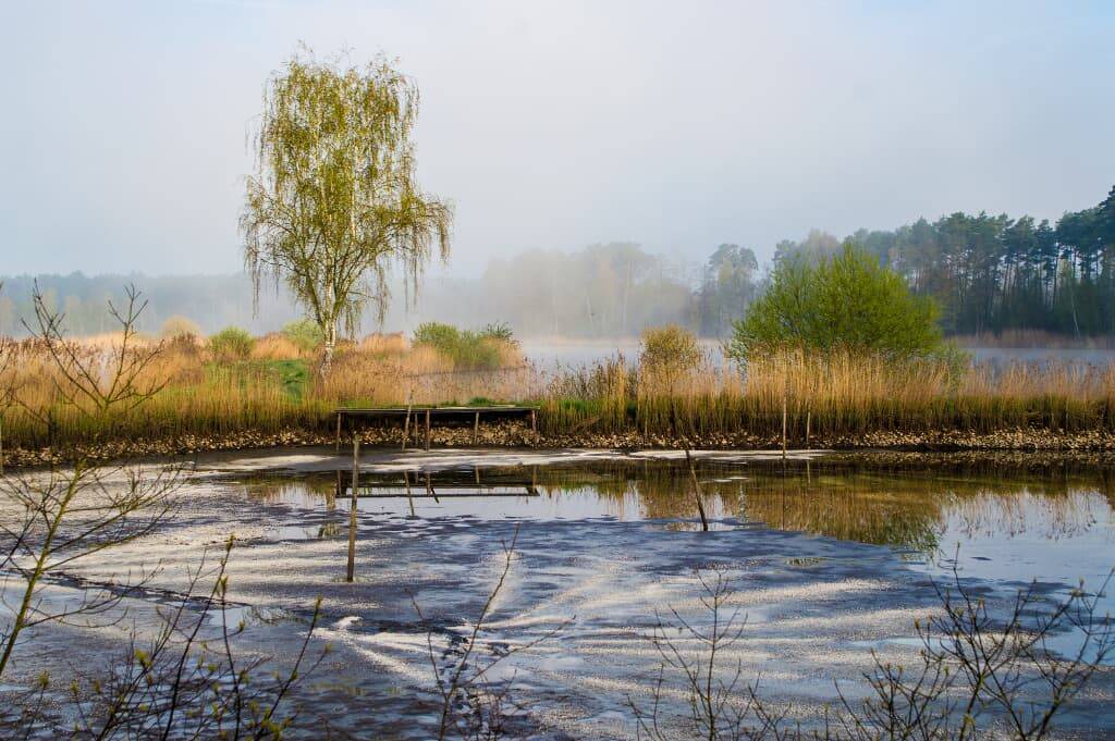 Photo of Others in Wackersdorf
