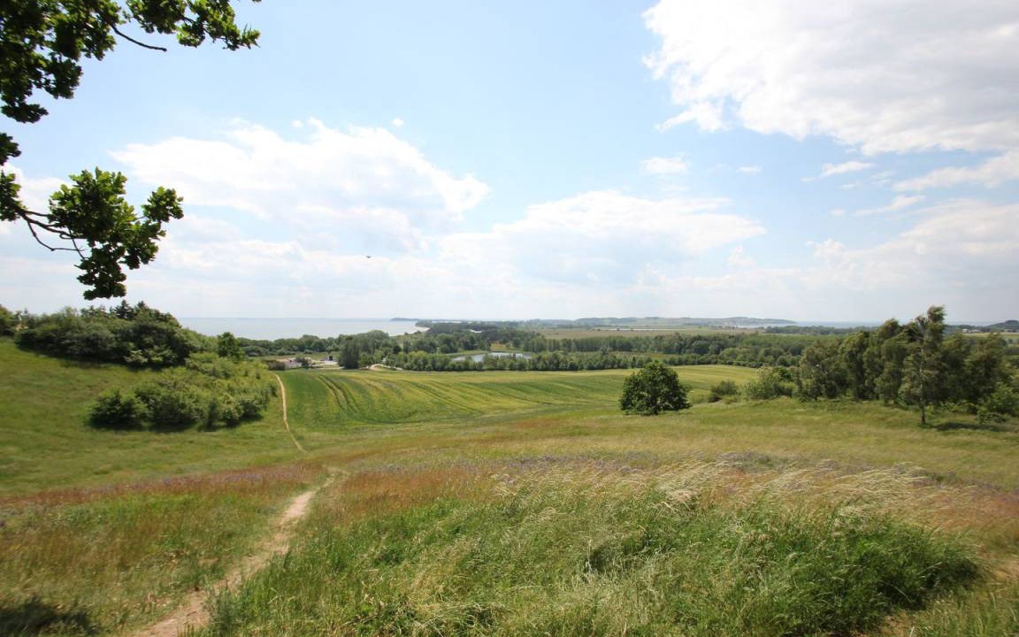 Photo of Others in Gohren