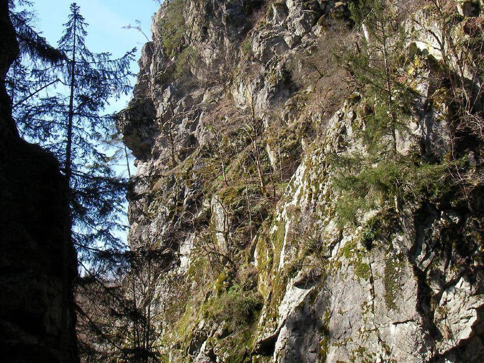 Photo of Others in Elbersreuth