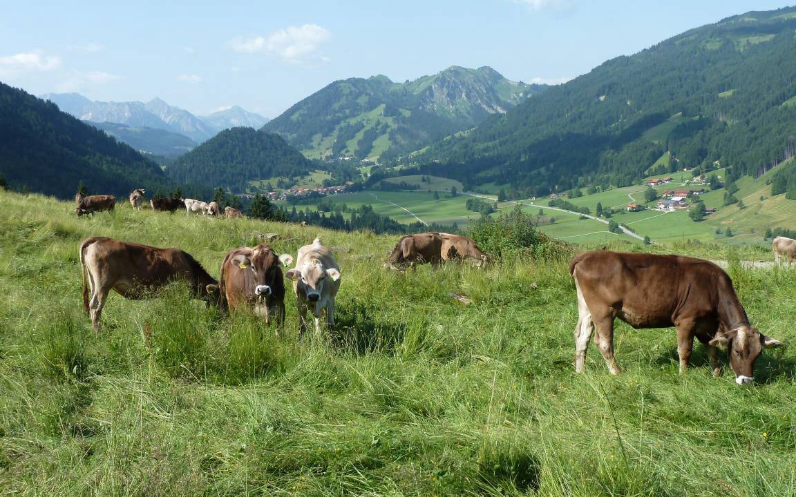 Photo of Others in Unterjoch