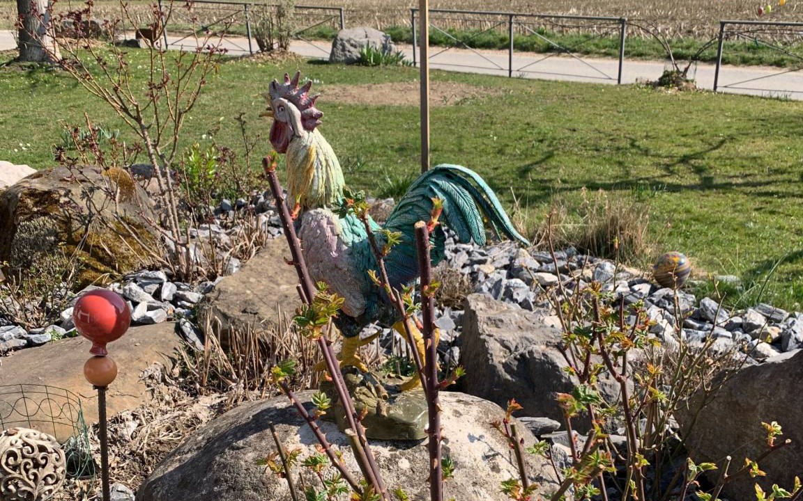 Photo of Others in Teisendorf