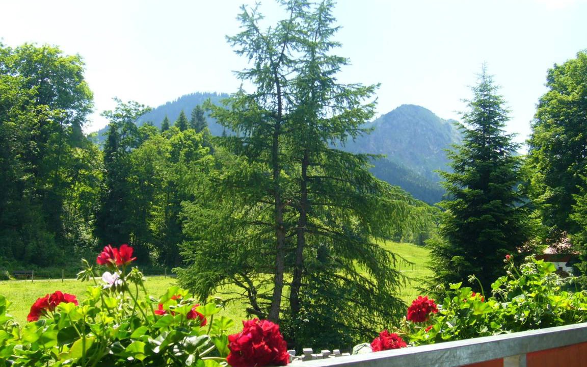 Photo of Others in Unterjoch