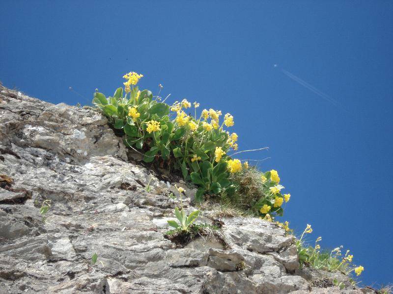 Photo of Others in Hinterstein