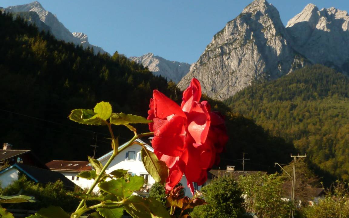 Photo of Others in Hammersbach