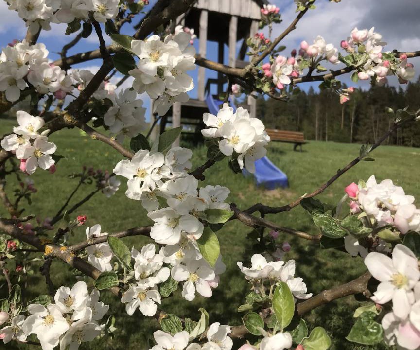 Photo of Others in Wunsiedel