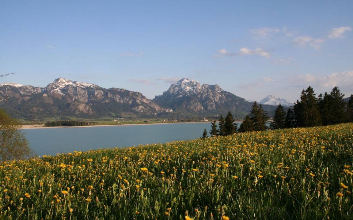 Photo of Others in Rieden am Forggensee