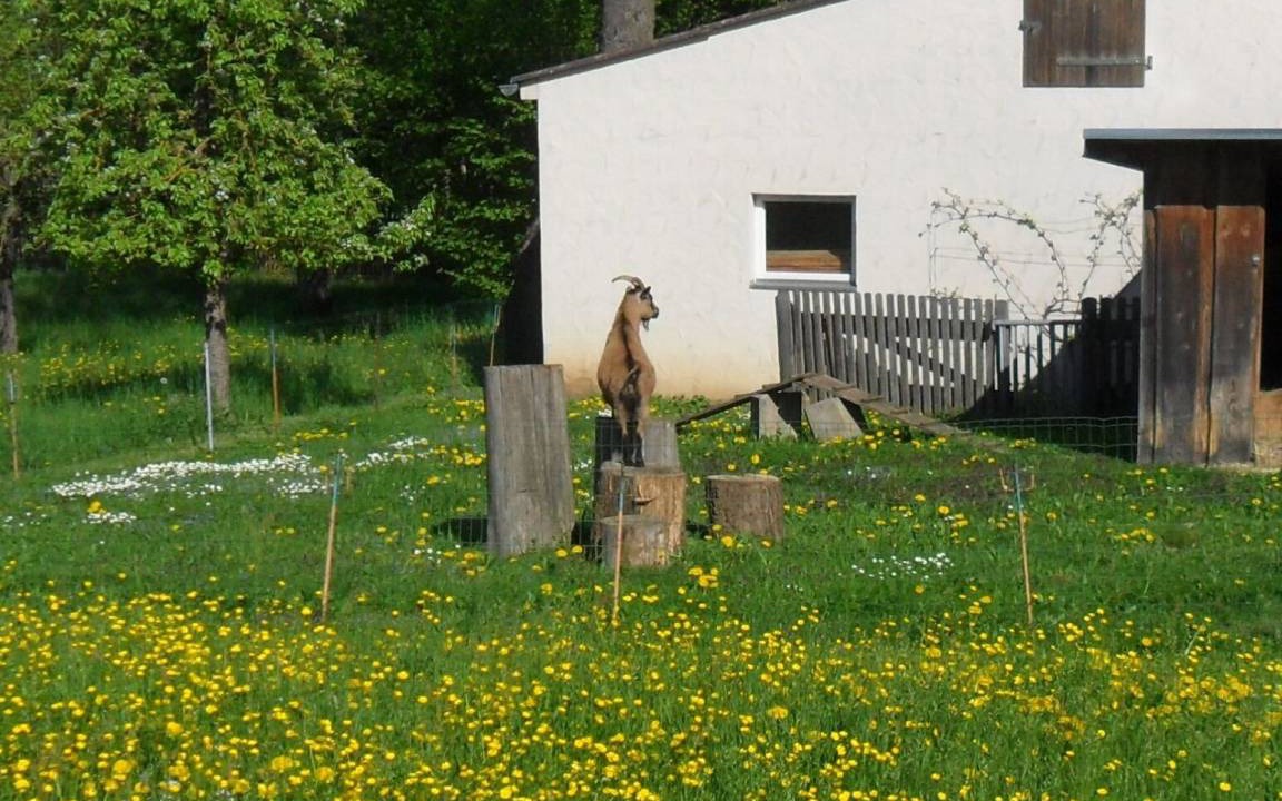 Photo of Others in Westheim