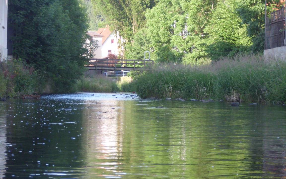 Photo of Others in Steinwiesen