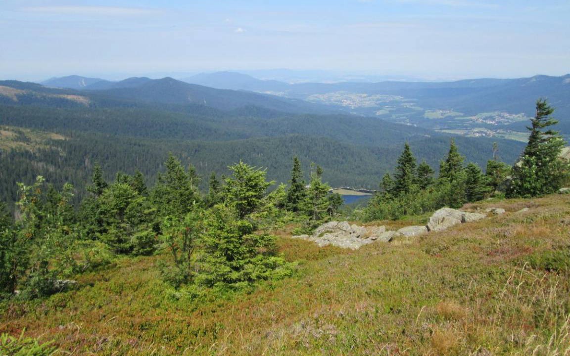 Photo of Others in Bayerisch Eisenstein