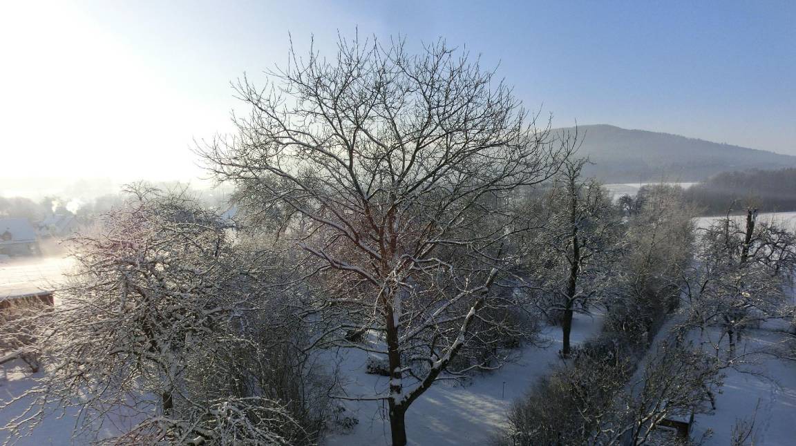 Photo of Others in Lauf an der Pegnitz
