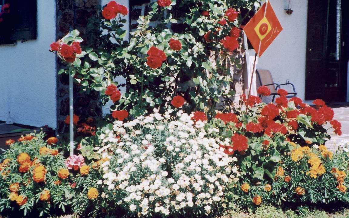 Photo of Others in Zwieselberg