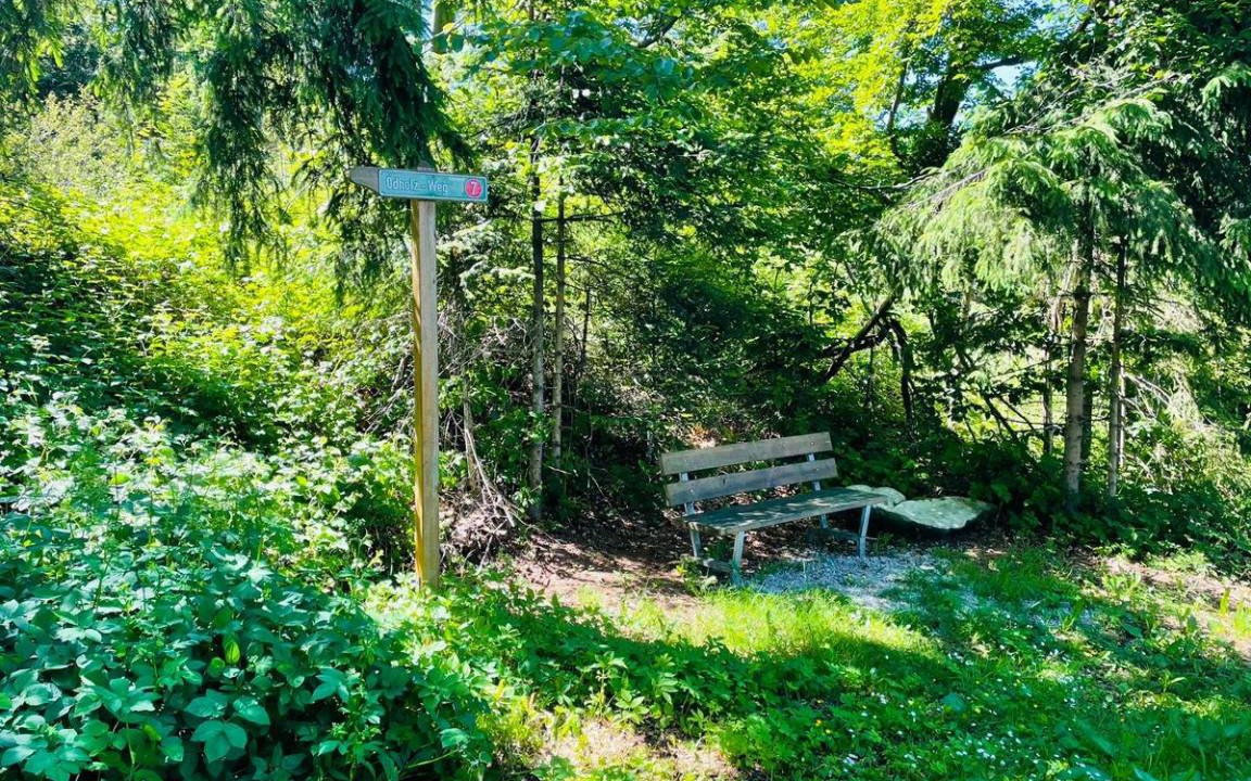 Photo of Others in Waldkirchen