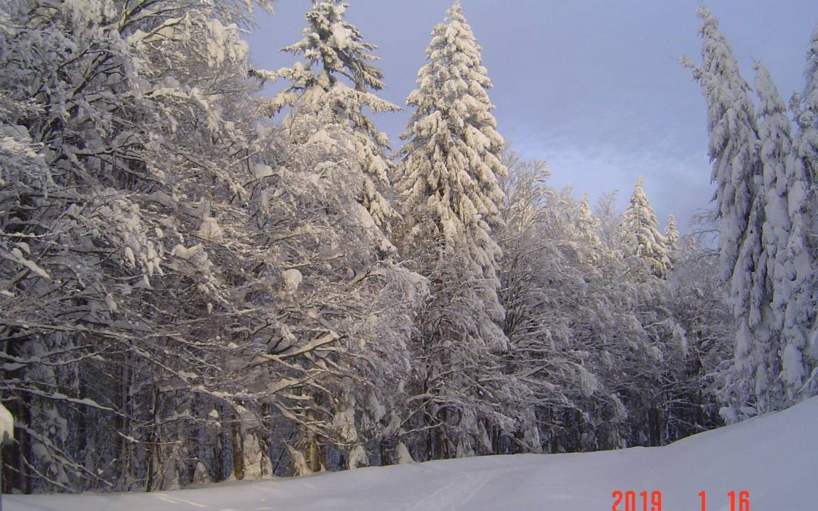 Photo of Others in Riedlhutte