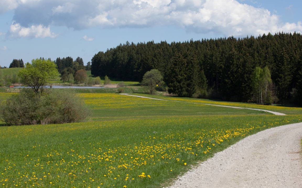 Photo of Others in Lechbruck