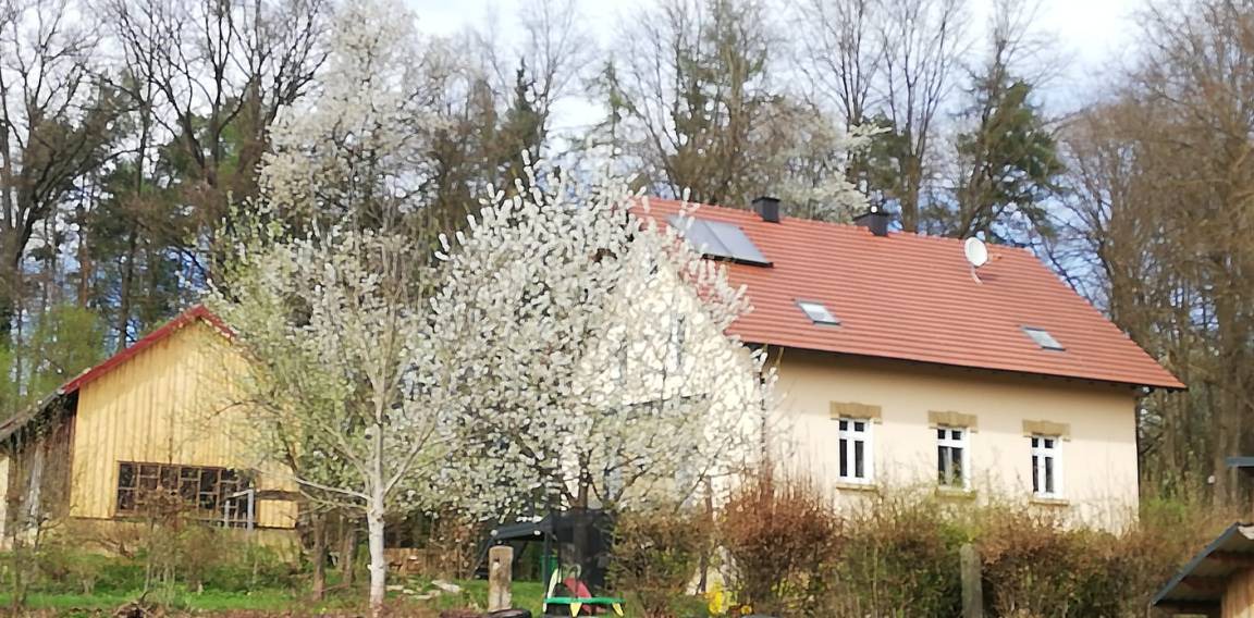 Photo of Others in Bruck in der Oberpfalz