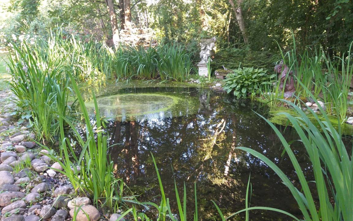 Photo of Outdoor in Muersbach