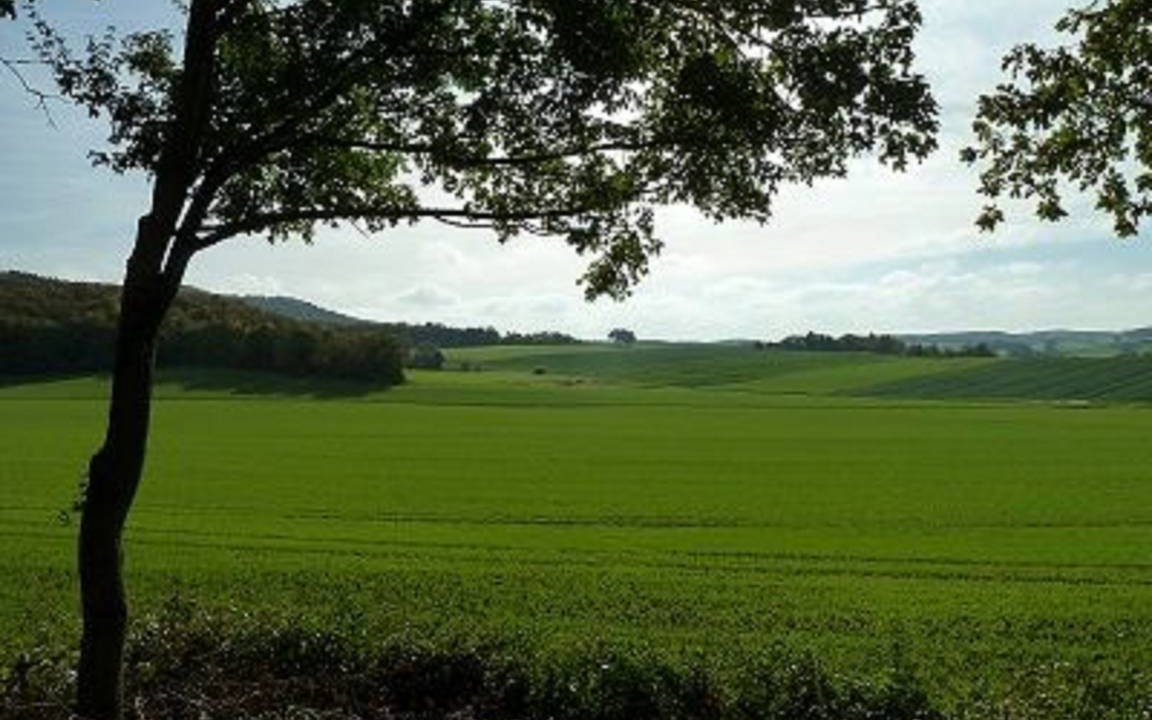 Photo of Others in Sulzfeld