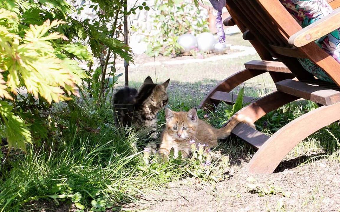 Photo of Others in Wegscheid